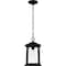 Quoizel Satterfield Outdoor Hanging 1 Light Matte Black SAT1909MBK - alternate 6